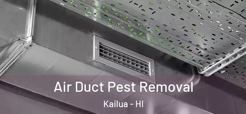  Air Duct Pest Removal Kailua - HI