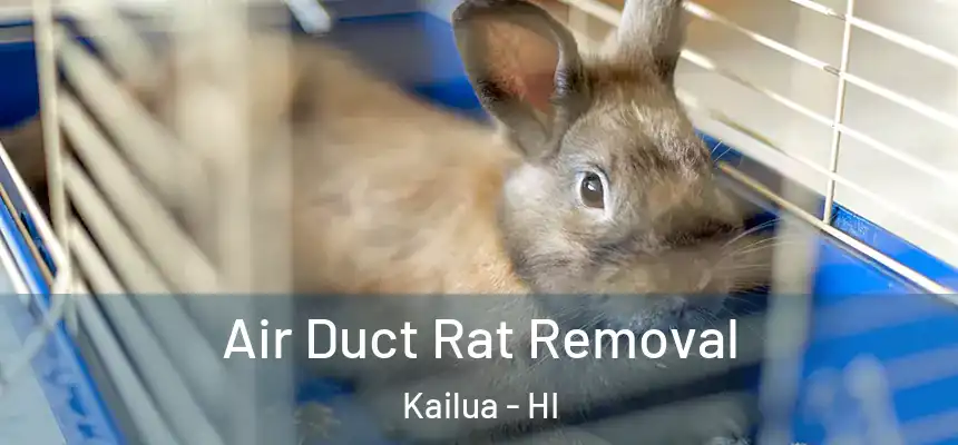  Air Duct Rat Removal Kailua - HI