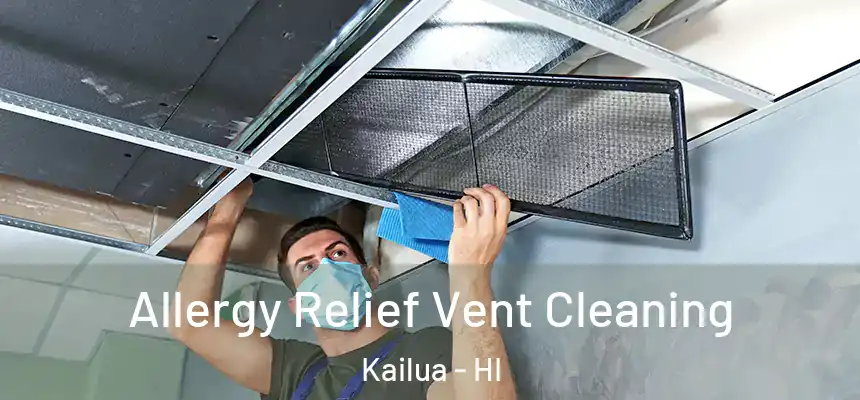  Allergy Relief Vent Cleaning Kailua - HI