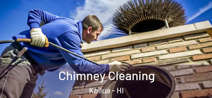  Chimney Cleaning Kailua - HI