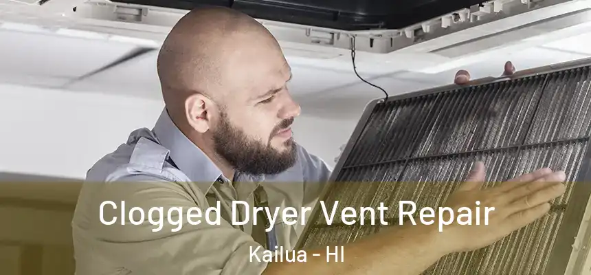  Clogged Dryer Vent Repair Kailua - HI