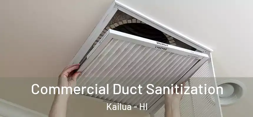  Commercial Duct Sanitization Kailua - HI