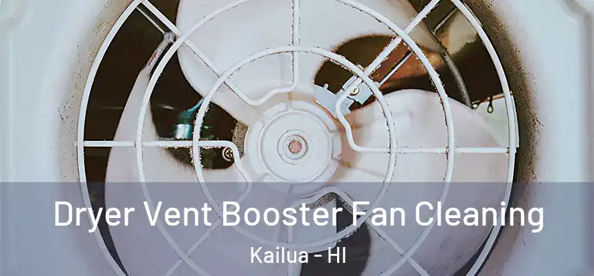 Dryer Vent Booster Fan Cleaning Kailua - HI