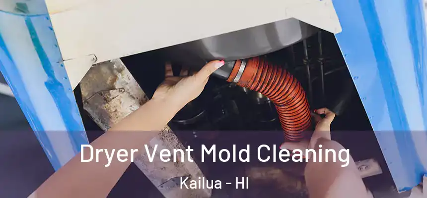 Dryer Vent Mold Cleaning Kailua - HI