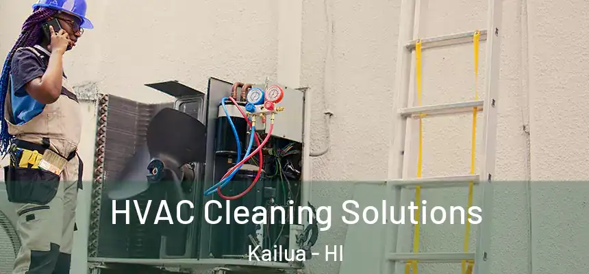  HVAC Cleaning Solutions Kailua - HI
