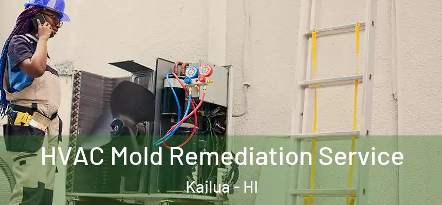 HVAC Mold Remediation Service Kailua - HI
