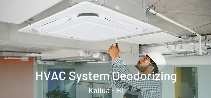  HVAC System Deodorizing Kailua - HI