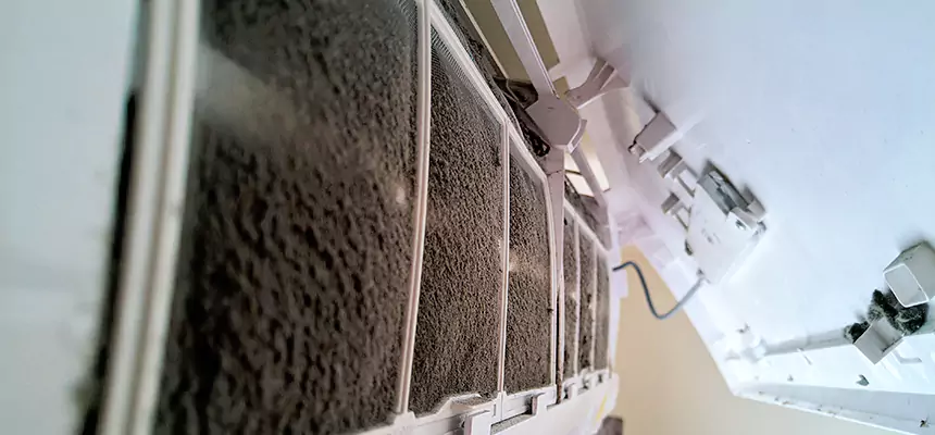 Preventive Air Duct Bacteria Removal in Kailua