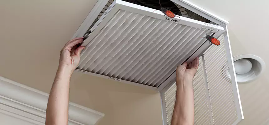 Preventive Cockroach-Proofing for Ducts in Kailua