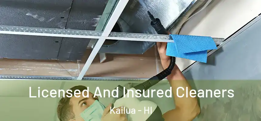  Licensed And Insured Cleaners Kailua - HI