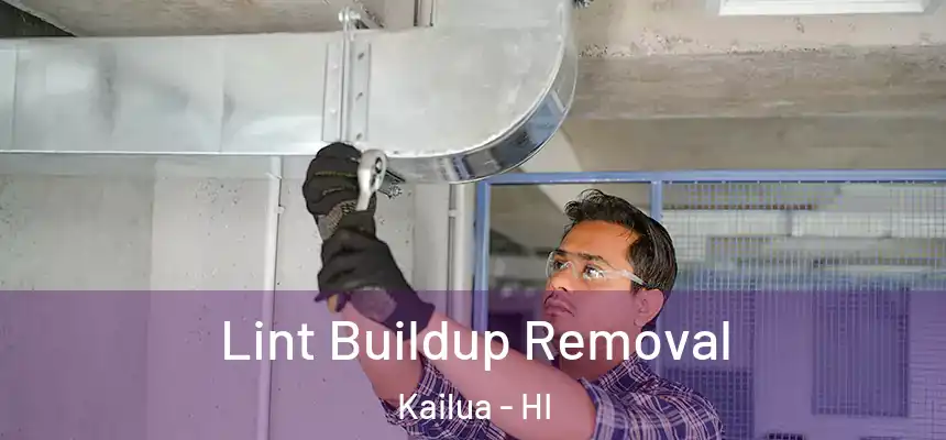  Lint Buildup Removal Kailua - HI