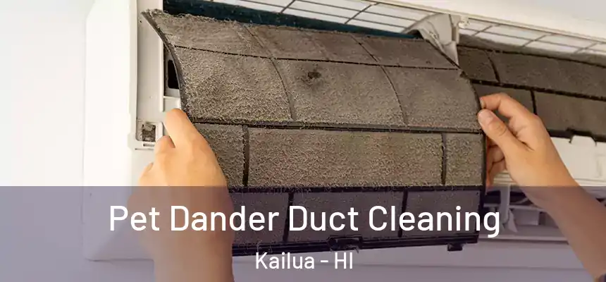  Pet Dander Duct Cleaning Kailua - HI