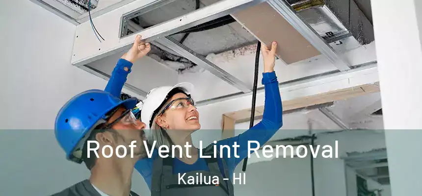 Roof Vent Lint Removal Kailua - HI
