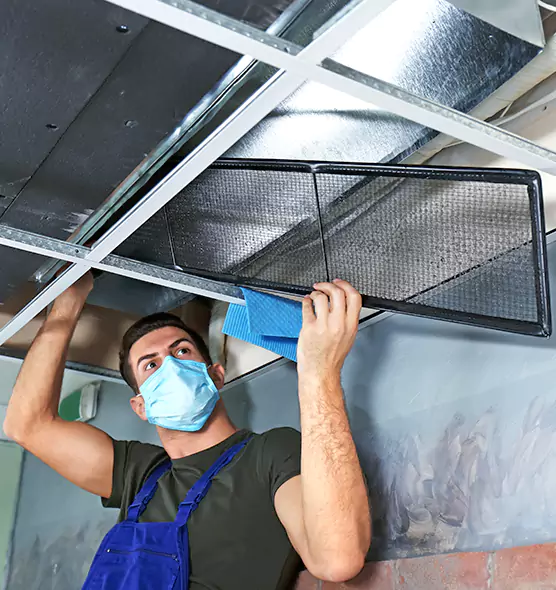 About Air Duct Bacteria Removal in Kailua