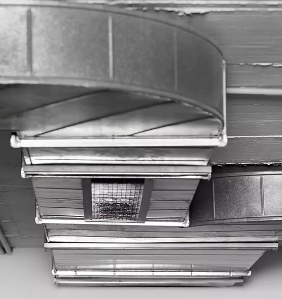 Professional Air Duct Pet Hair Removal in Kailua, HI