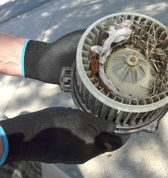 About Air Duct Rat Removal in Kailua, HI