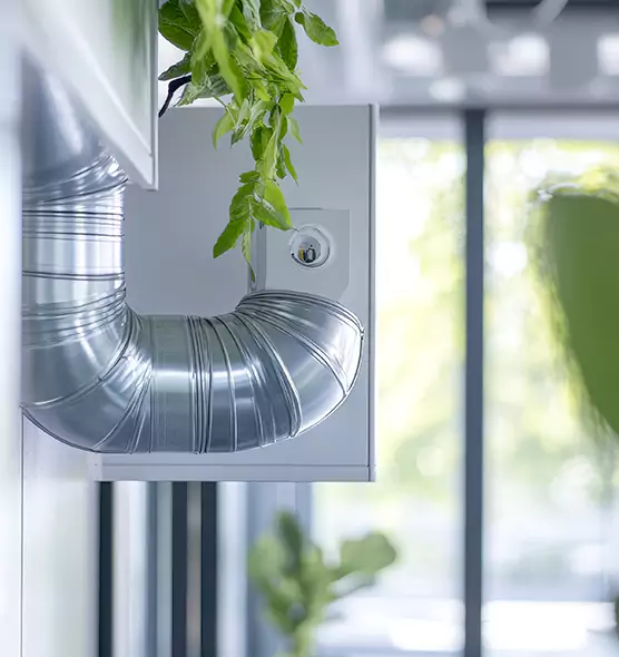 Professional Eco-Safe Dryer Vent Cleaning in Kailua, HI