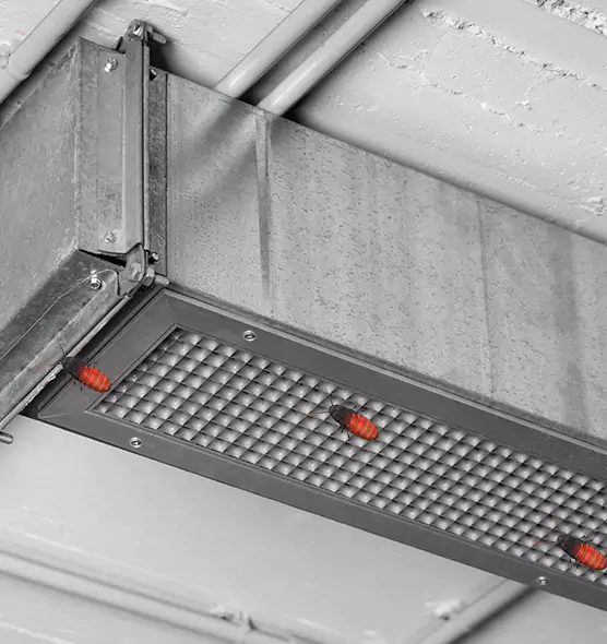 Affordable Insect Removal from Air Ducts in Kailua, HI