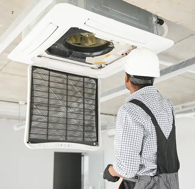 Why Homeowners & Businesses Trust Us in Kailua, HI?