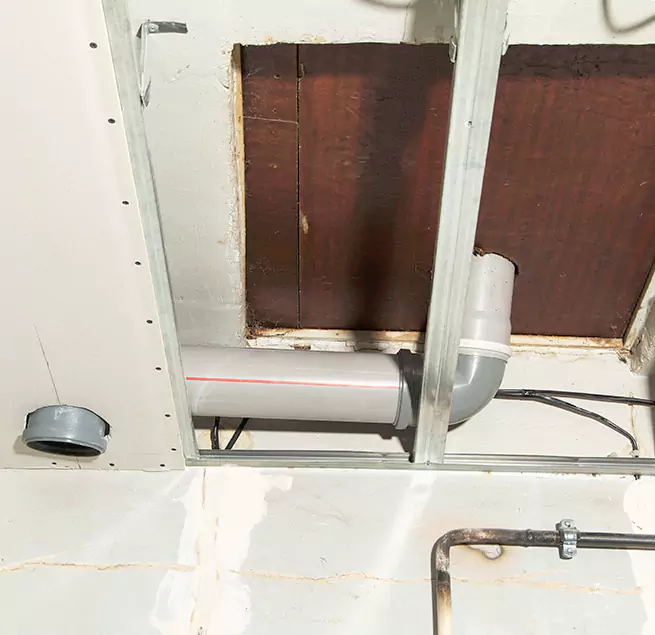 Why Homeowners & Businesses Trust Us in Kailua, HI?