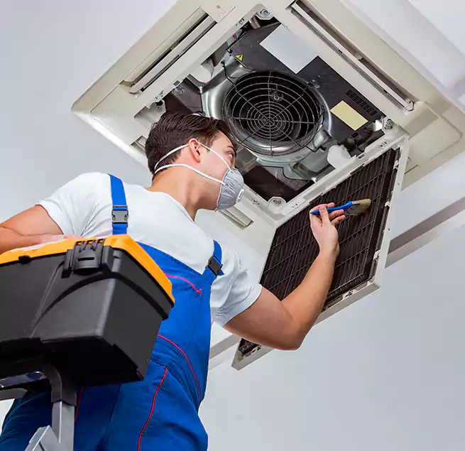 Why Homeowners & Businesses Trust Us in Kailua, HI