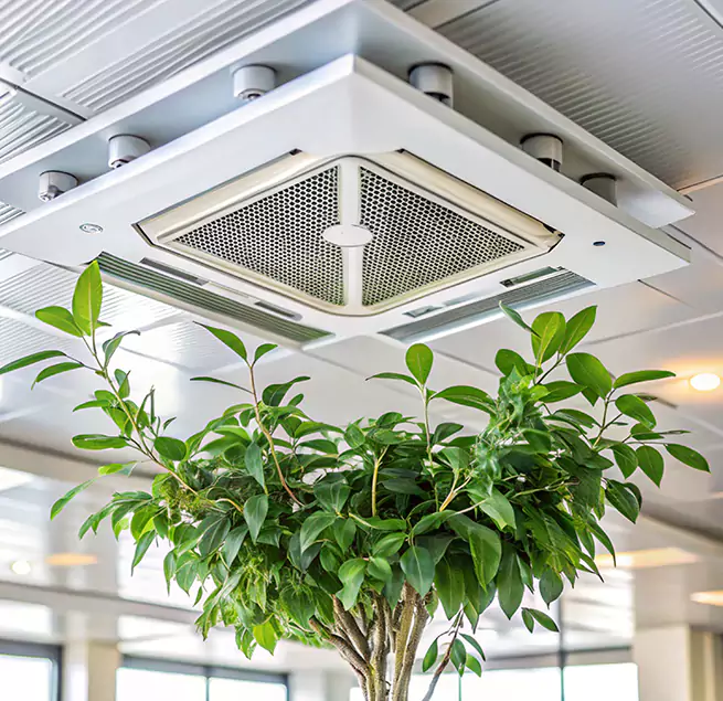 Why Homeowners & Businesses Trust Us in Kailua, HI?