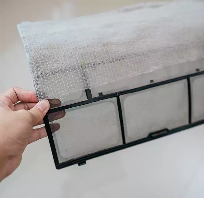 Why Homeowners & Businesses Trust Us in Kailua, HI?