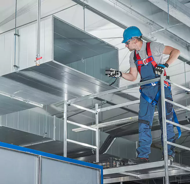 Why Homeowners Businesses Trust Us in Kailua, HI