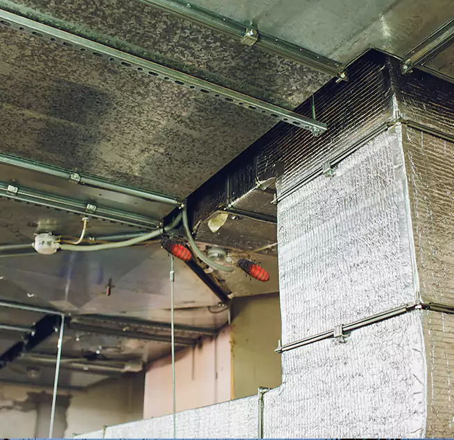 Why Homeowners & Businesses Trust Us Kailua, HI?