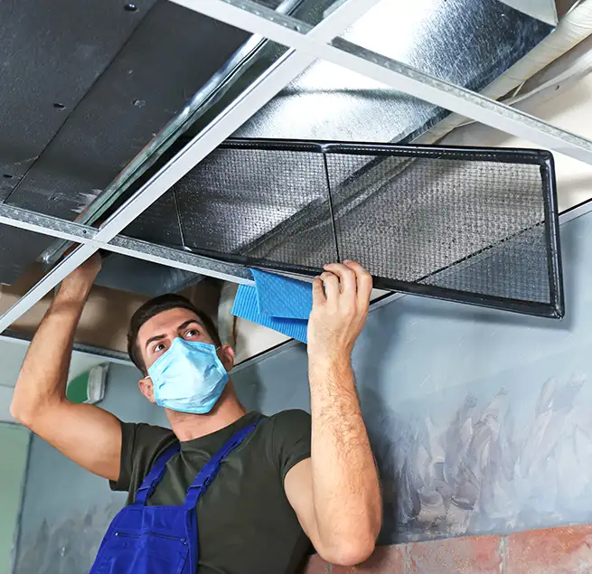 Why Homeowners & Businesses Trust Us in Kailua, HI?