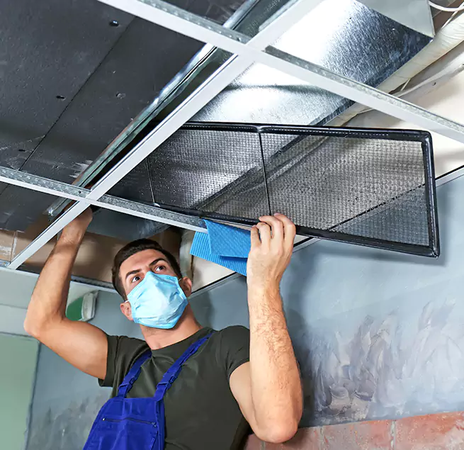  Why Homeowners Businesses Trust Us  in Kailua, HI?