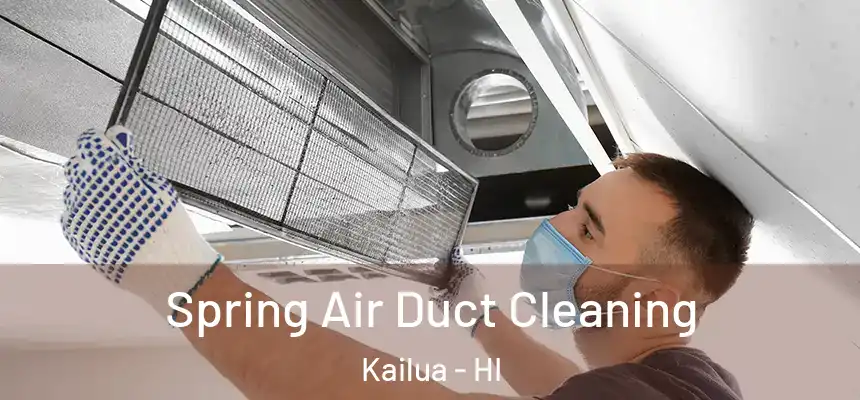  Spring Air Duct Cleaning Kailua - HI