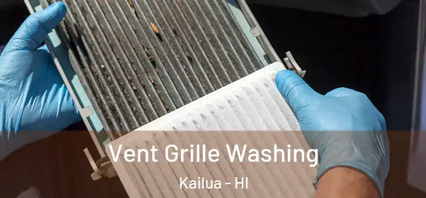  Vent Grille Washing Kailua - HI